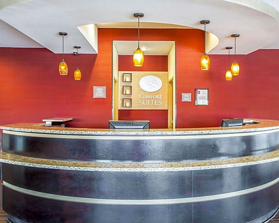 Comfort Suites Rock Hill Manchester Meadows Area