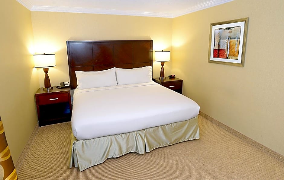 Holiday Inn & Suites San Mateo - SFO By IHG