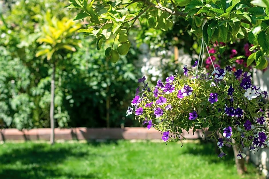 Flores Hotel Alaçatı