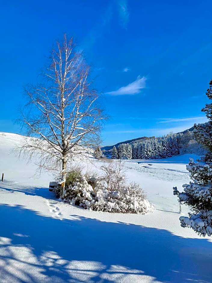 HOTEL Auberge du grand Git