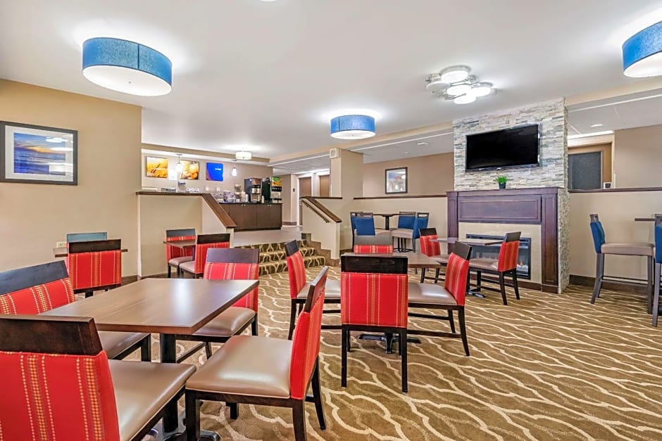 Comfort Inn & Suites St. Pete - Clearwater International Airport