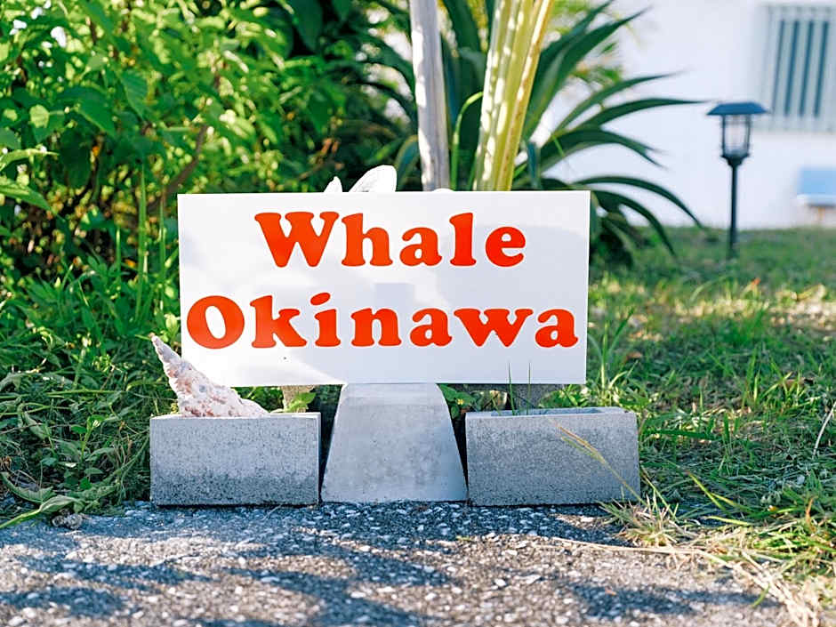 Whale Okinawa