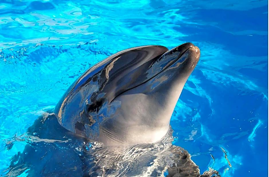 Shonandai Daiichi Hotel Fujisawa Yokohama