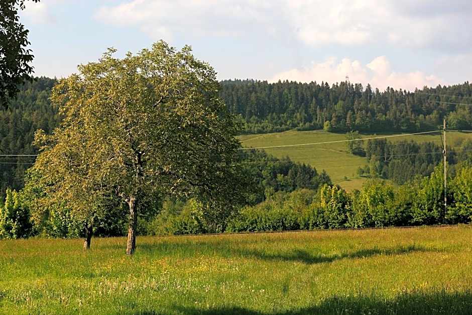 hotel rainhof scheune & naturpark restaurant (Kirchzarten)