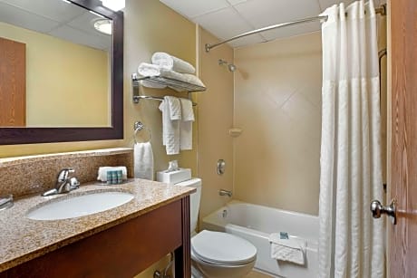 1 Queen Bed, Mobility Accessible, Communication Assistance, Bathtub, Non-Smoking, Full Breakfast