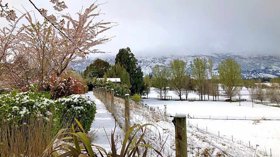 Alpine View Lodge