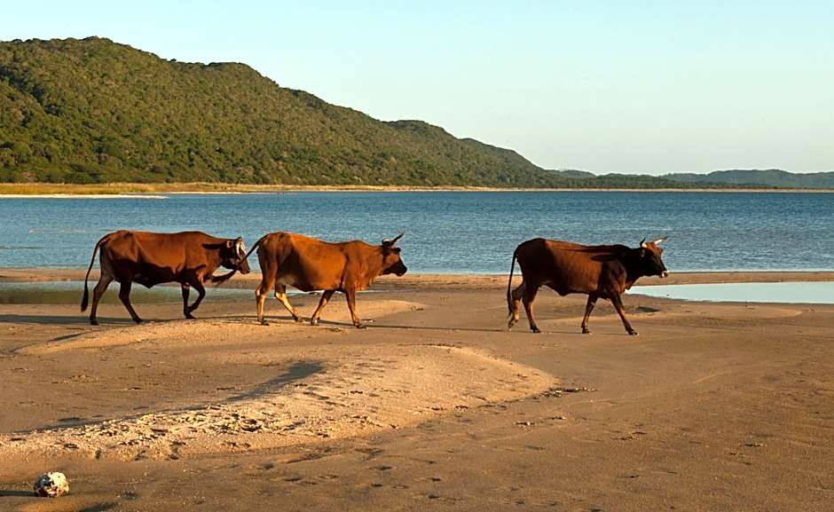 Big Skies Gugs & Ubunye