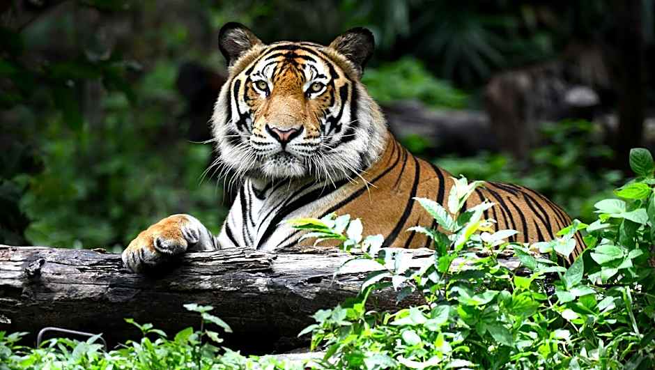 Magnuson Hotel Wauseon