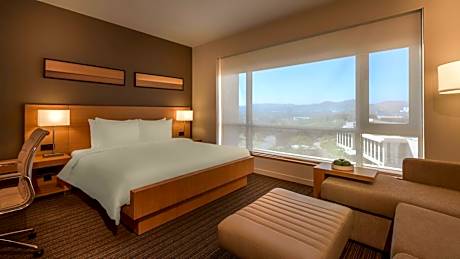 Deluxe King Room with Sofa Bed