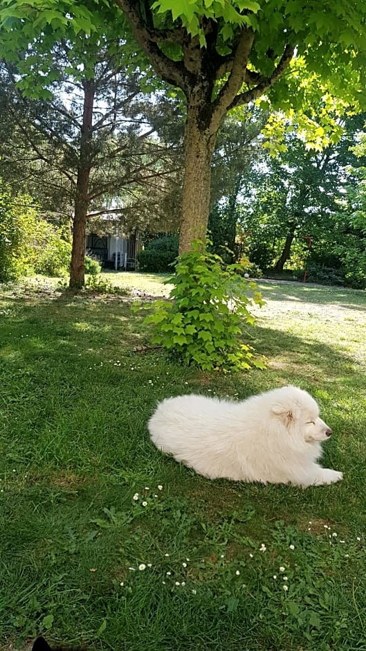 Le Cloître Saint-Liphard