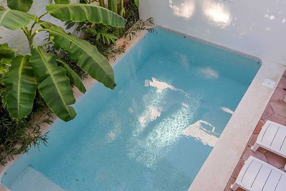 El Refugio de Sayulita - Health and Wellness House
