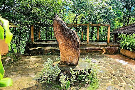 Rainforest Edge