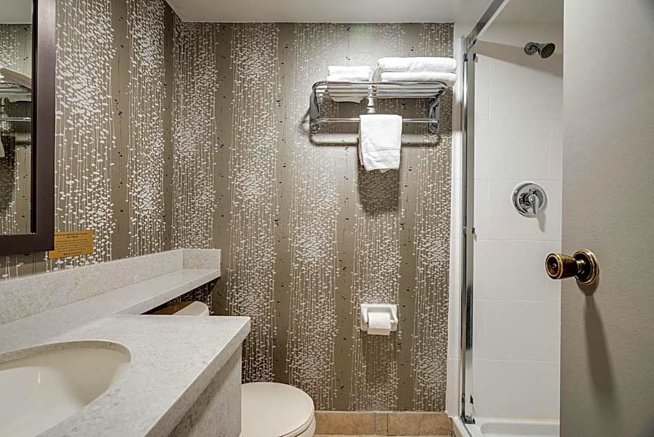 Monte Carlo Inn Toronto West Suites