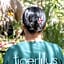 Tigerlilly's Boutique Hotel