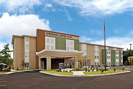 SpringHill Suites by Marriott Mobile