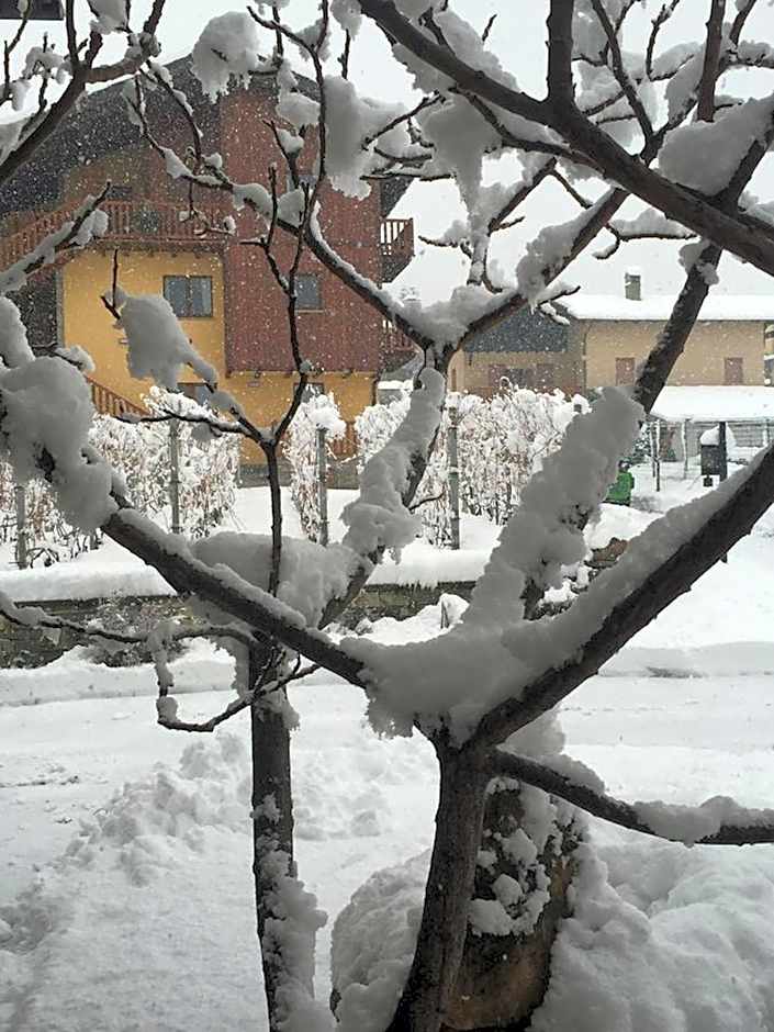 La Vigne de Papagran