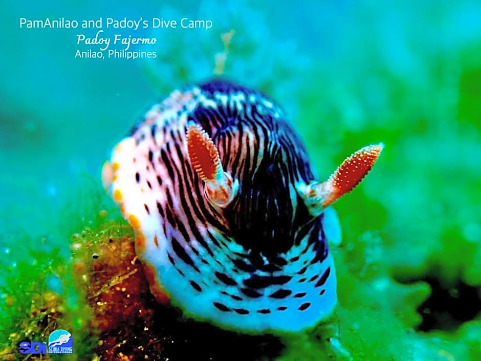 PamAnilao and Padoy's Dive Camp