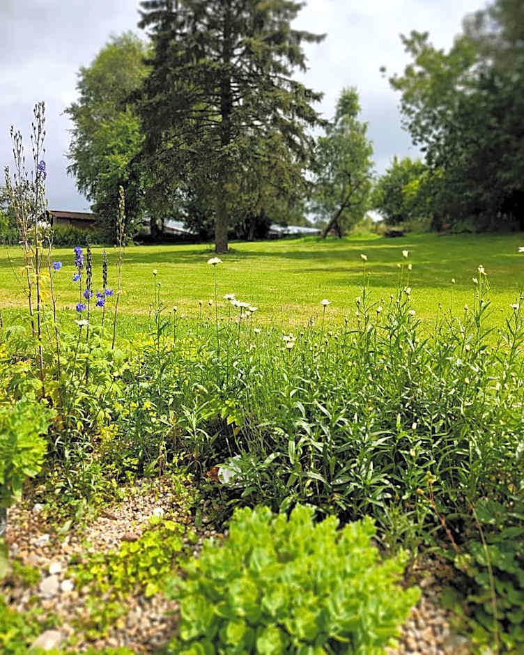Grünvogels Landgasthof zum Grünen Baum