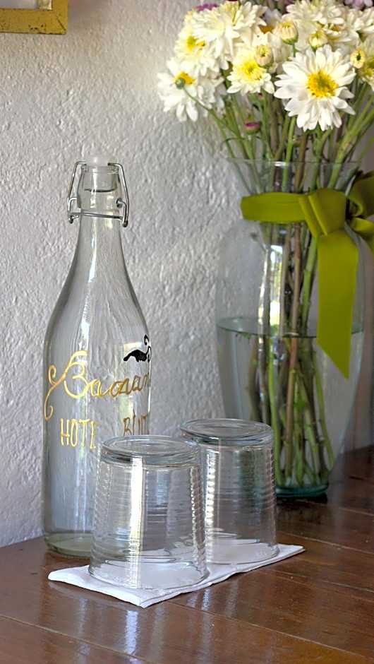 Hotel Boutique Bacaanda