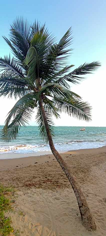 Pousada Sunshine Patacho Rota Ecológica dos Milagres Porto de Pedras