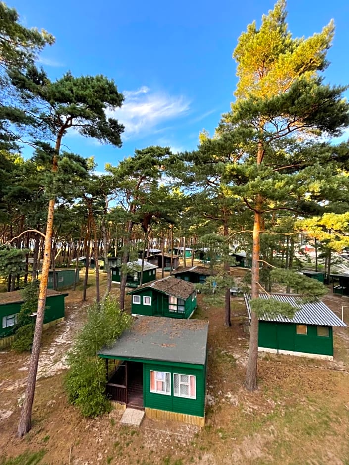 Domki letniskowe Delfin