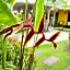 Kamala Tropical Garden Hotel