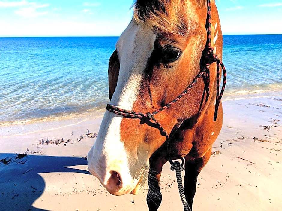 Lure Bed and Breakfast