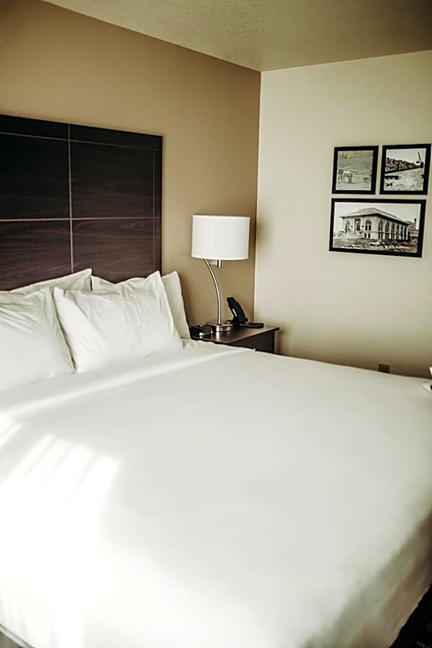 Cobblestone Hotel & Suites International Falls