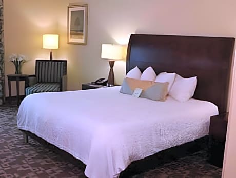 1 King Bed Junior Suite