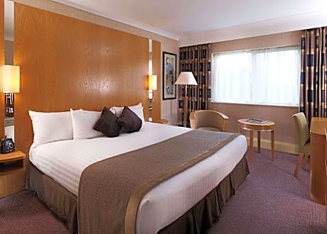 Queen Bed Guestroom