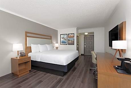 King Room - Non-Smoking