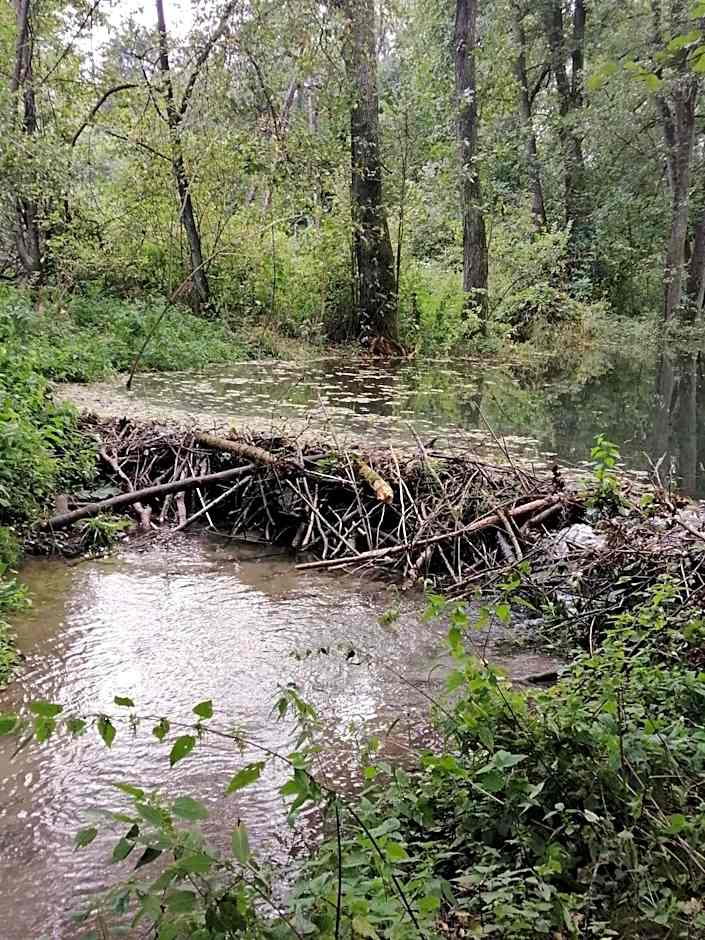 Agroturystyka Perła Gaju