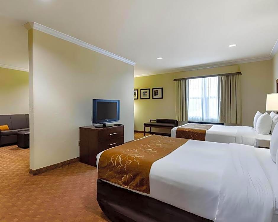 Comfort Suites Near Nasa - Clear Lake