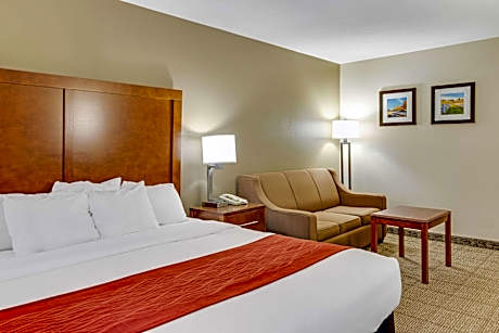 1 King Bed, Nonsmoking