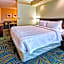 SpringHill Suites by Marriott Norfolk Old Dominion University