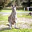 Breeze Holiday Parks - Halls Gap