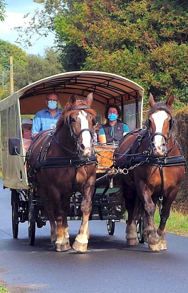 Chez Jollyjune, à moins d'une heure du Mont Saint Michel