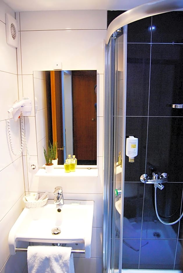 Parkhotel Bergheim