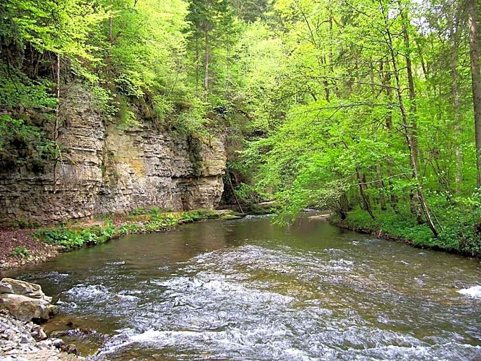 Tiny House Village Löffingen