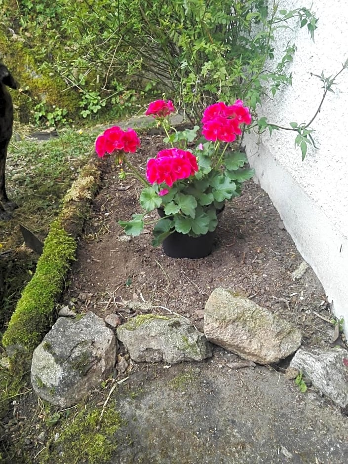 Chambres d'hôtes Le Veilleur de Noblat