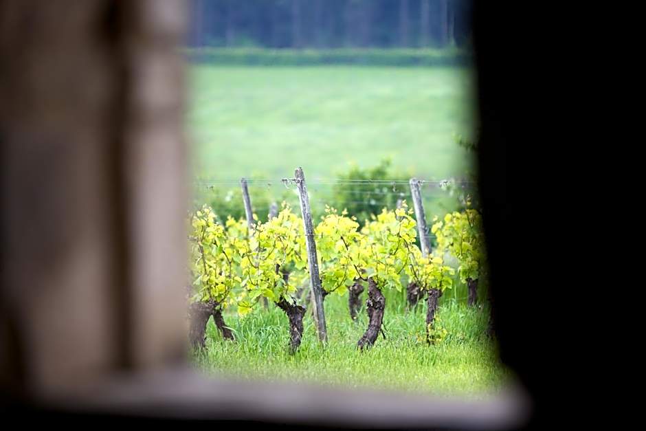 Domaine Joseph LAFARGE Wine Resort B&B