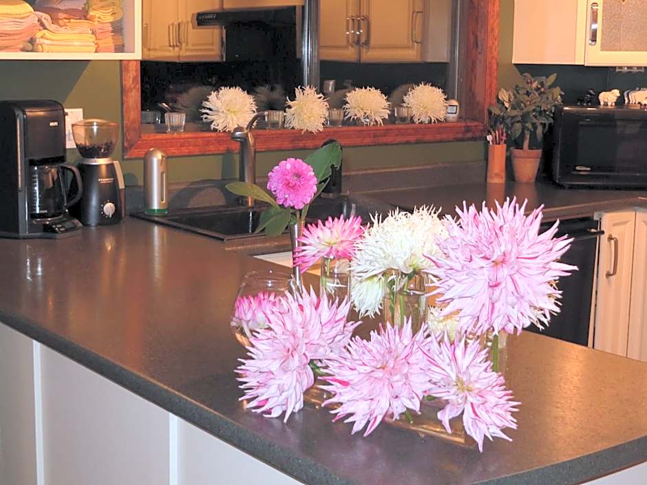 Misty Meadows B and B