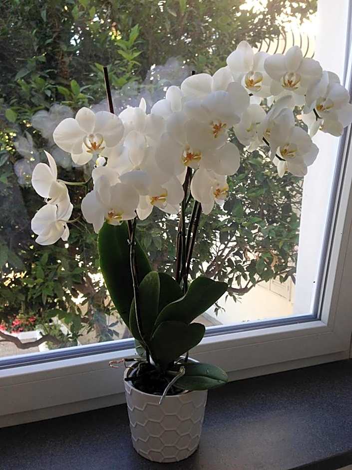 Hotel Victoria Place