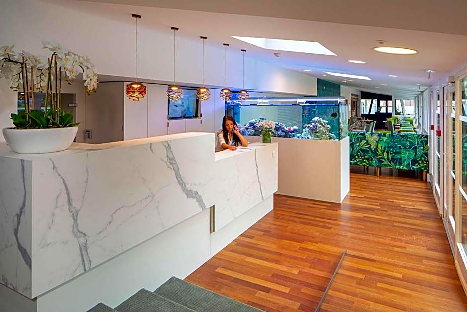 Hôtel Restaurant Au Cygne