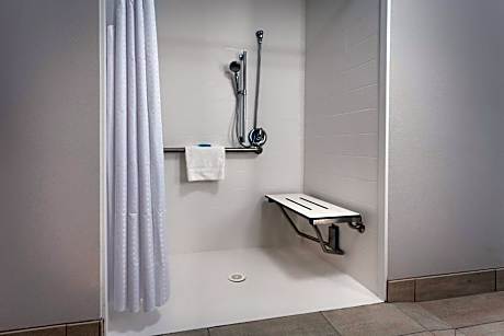 Standard King Room with Mobility Accessible Roll-In Shower