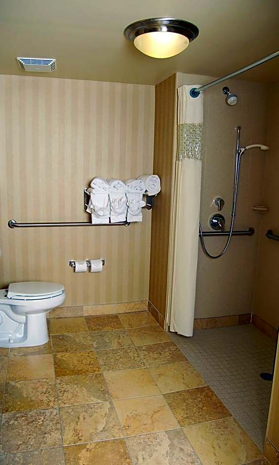 Hampton Inn By Hilton & Suites Mobile Providence Park/Airport