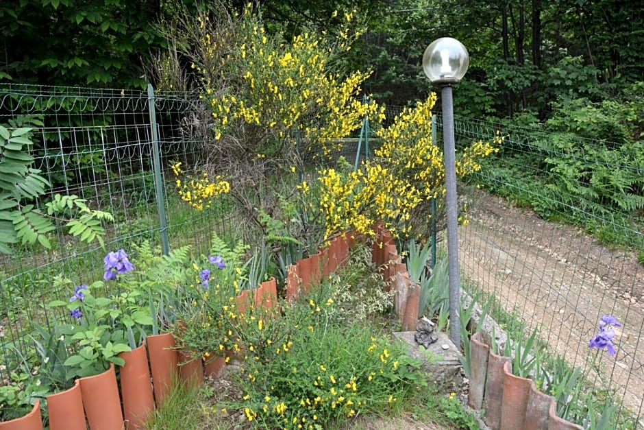 Casa Omnia B&B