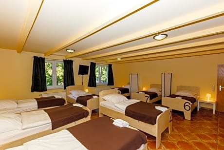 Bed in 8-Bed Dormitory Room