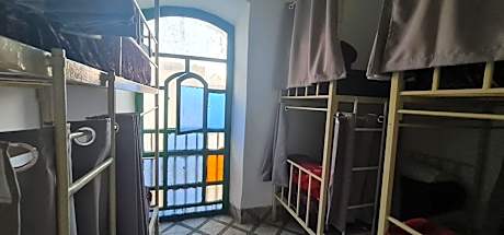 Bed in 6-Bed Mixed Dormitory Room