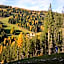 Bio Alpine Hotel Gran Fodà
